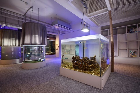 みなとやま水族館-19