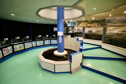 山方自然生態観察施設淡水魚館-7