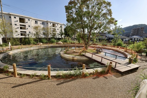 みなとやま水族館-37