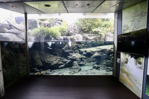 なかがわ水遊園-7