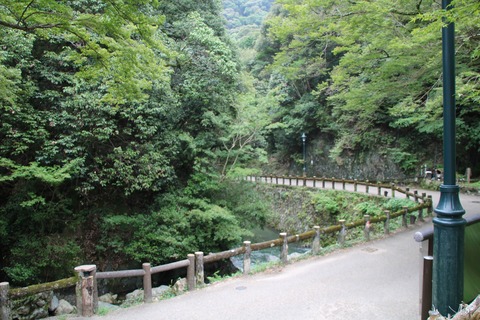 箕面公園昆虫館-4-min