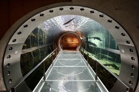 なかがわ水遊園-22