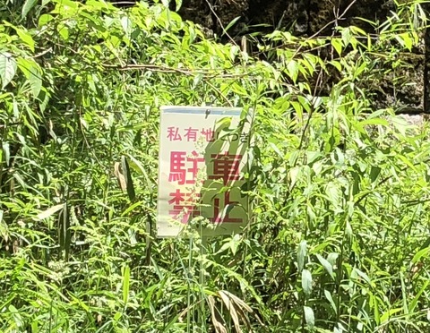 自然児童遊園 ねむの森-15