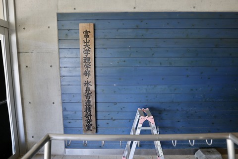 ひみラボ水族館-5