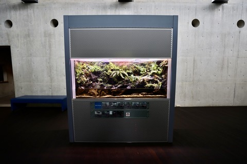 なかがわ水遊園-12