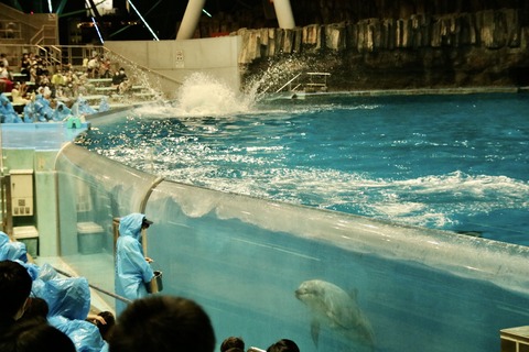 名古屋港 ナイトアクアリウム2021-20