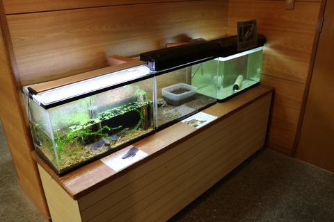 竜洋昆虫自然観察公園-14