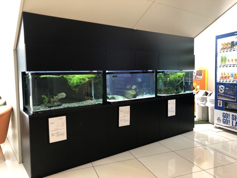 えきまちテラス長浜 小さなびわ湖水族館-14