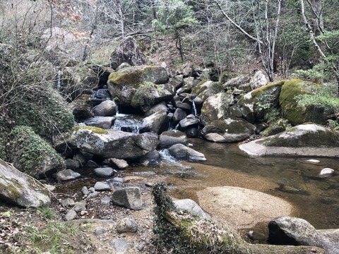 瑞浪市自然ふれあい館-7