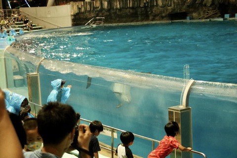 名古屋港 ナイトアクアリウム2021-17