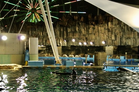 名古屋港 ナイトアクアリウム2021-27