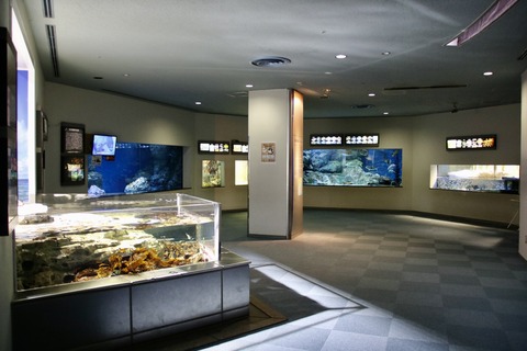 名古屋港 ナイトアクアリウム2021-31