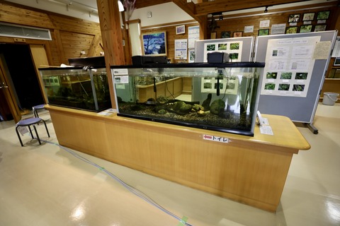 桶ケ谷沼ビジターセンター-3