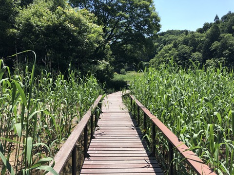 自然児童遊園 ねむの森-3