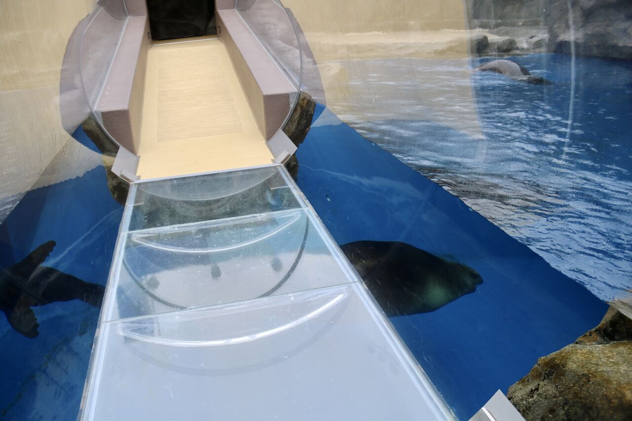 鳥羽水族館 正面玄関入り口 - 鳥羽市、鳥羽水族館の写真 - トリップアドバイザー