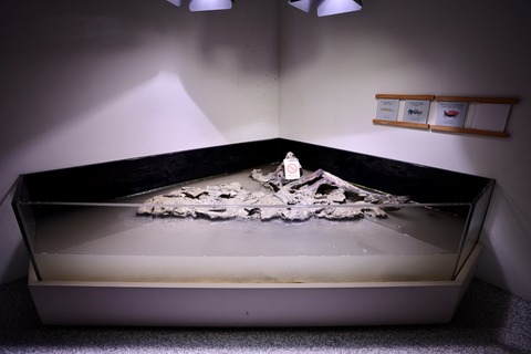 みなとやま水族館-24