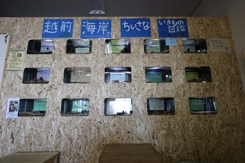 くにみクラゲ公民館-16