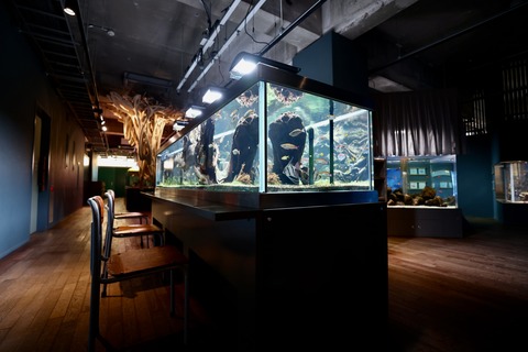 みなとやま水族館-36