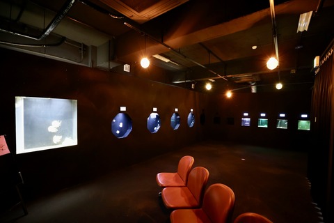 くにみクラゲ公民館-4