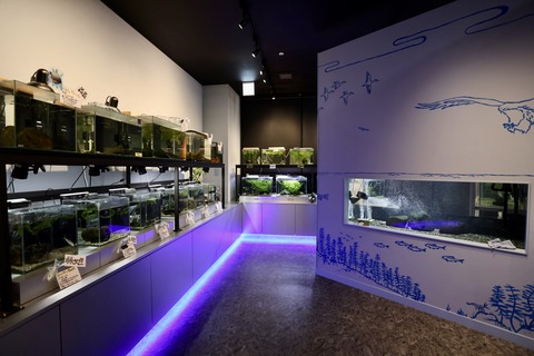 えきまちテラス長浜 小さなびわ湖水族館-5