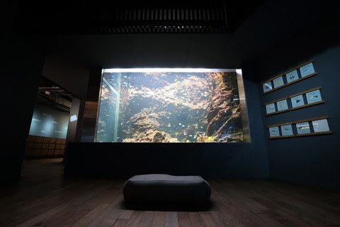 みなとやま水族館-34