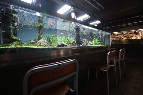 みなとやま水族館-6