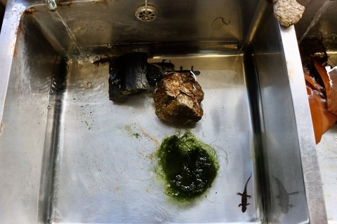 きんたい廃校博物館-31