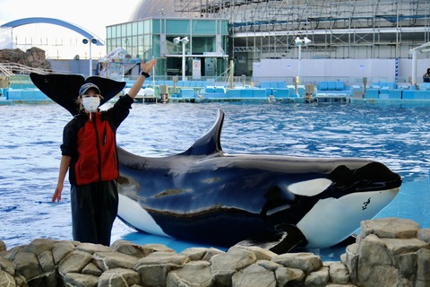 名古屋港水族館 リン 公開トレーニング-59