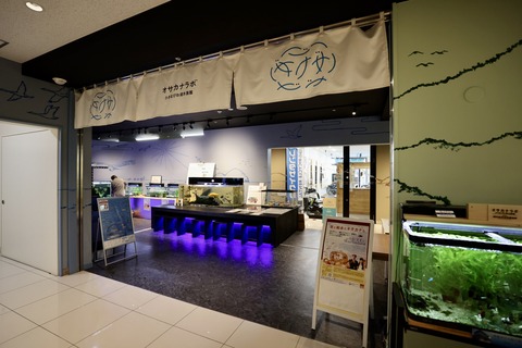 えきまちテラス長浜 小さなびわ湖水族館-4