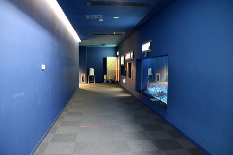 名古屋港 ナイトアクアリウム2021-35