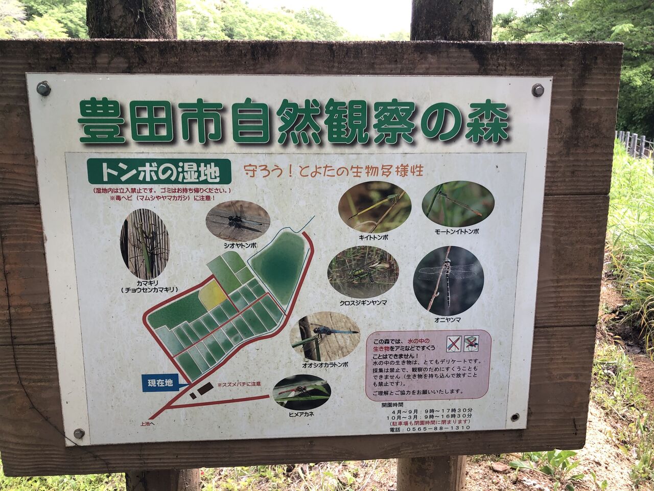 愛知県 豊田市自然観察の森 ネイチャーセンター 主食は水族館です