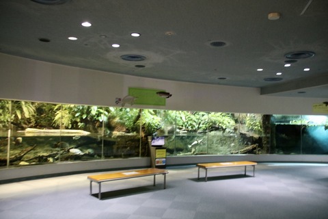 名古屋港 ナイトアクアリウム2021-38