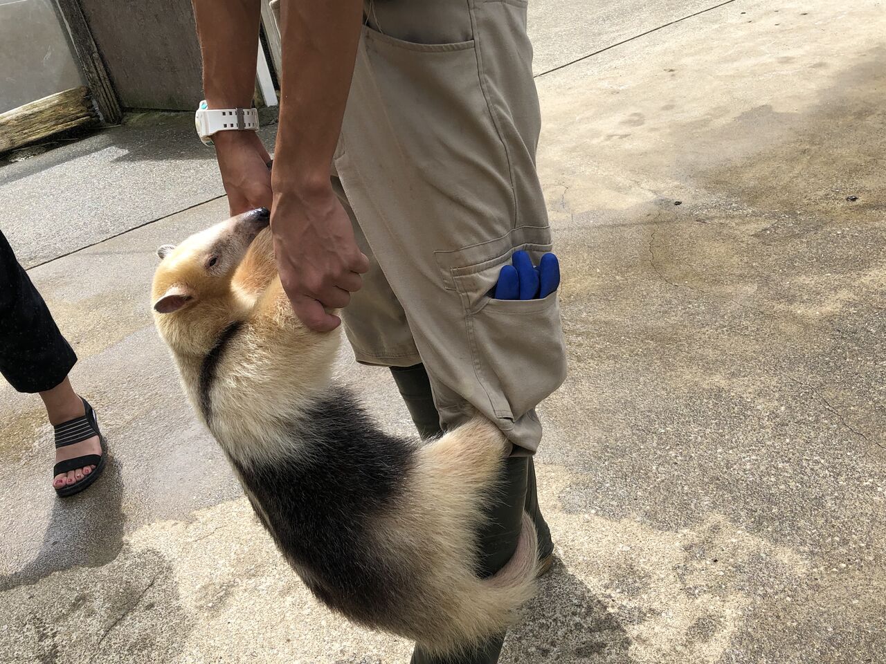 静岡県 伊豆アニマルキングダム 主食は水族館です