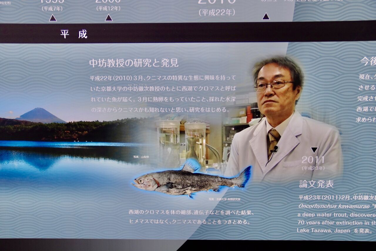 山梨県 西湖ネイチャーセンター クニマス展示館 主食は水族館です