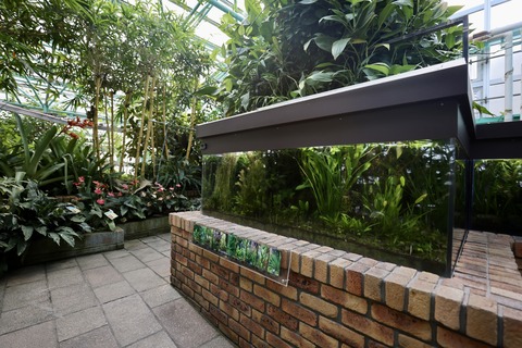 草津市立水生植物公園 みずの森-12