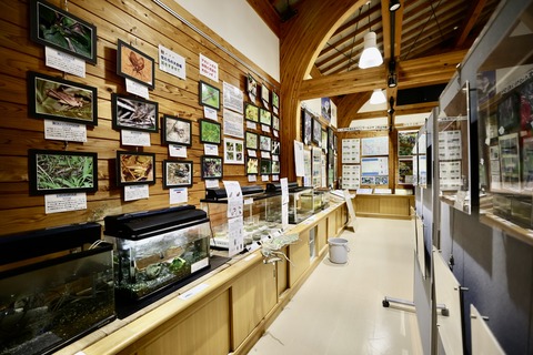 桶ケ谷沼ビジターセンター-15