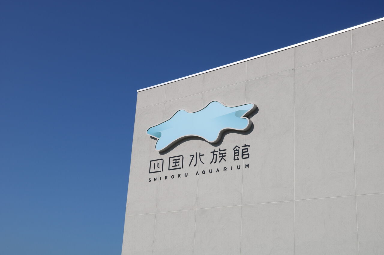 香川県 四国水族館 主食は水族館です