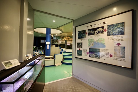 山方自然生態観察施設淡水魚館-4