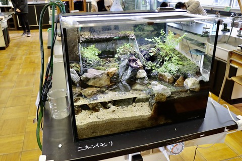 きんたい廃校博物館-38