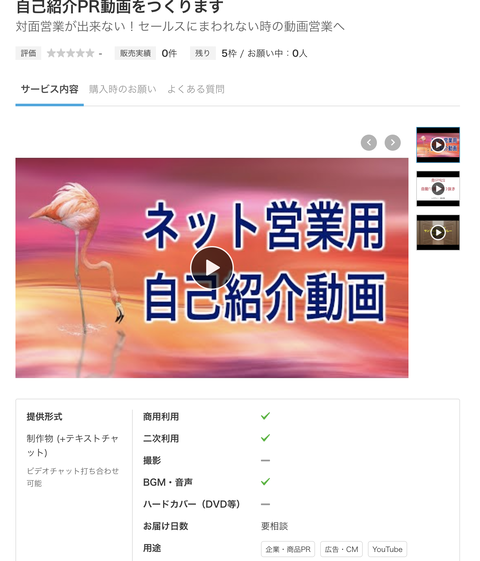 ネット自己紹介PR動画