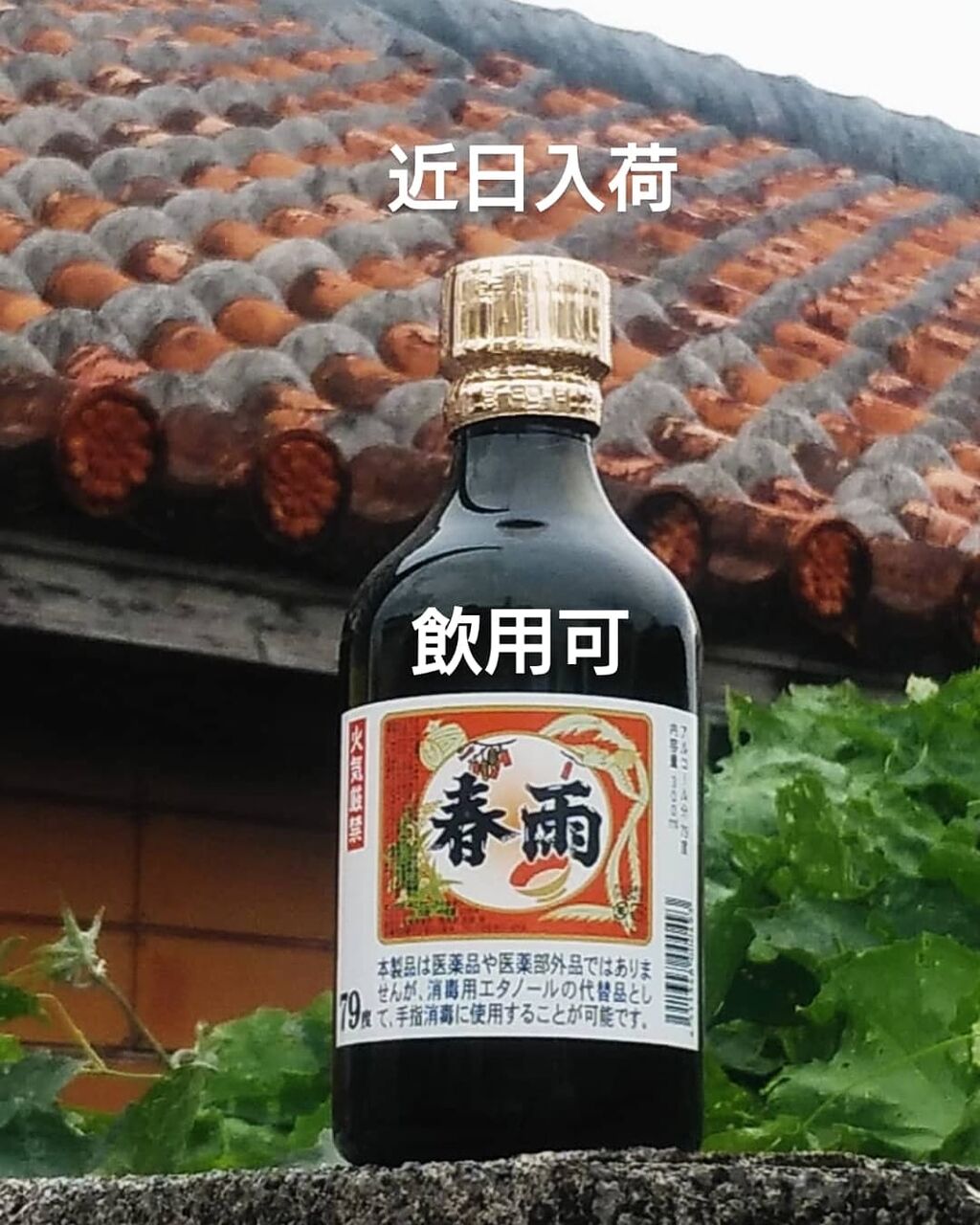 春雨 79度 : PRO SHOP 酒のこばやしのBLOG