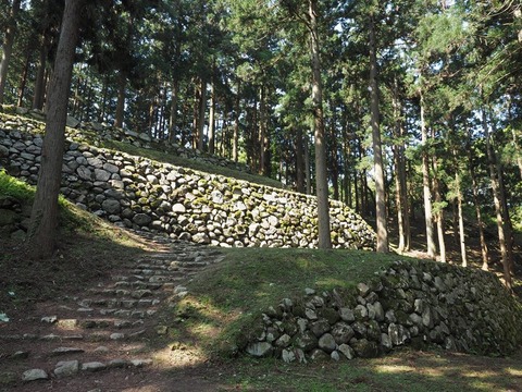 P5020012_R