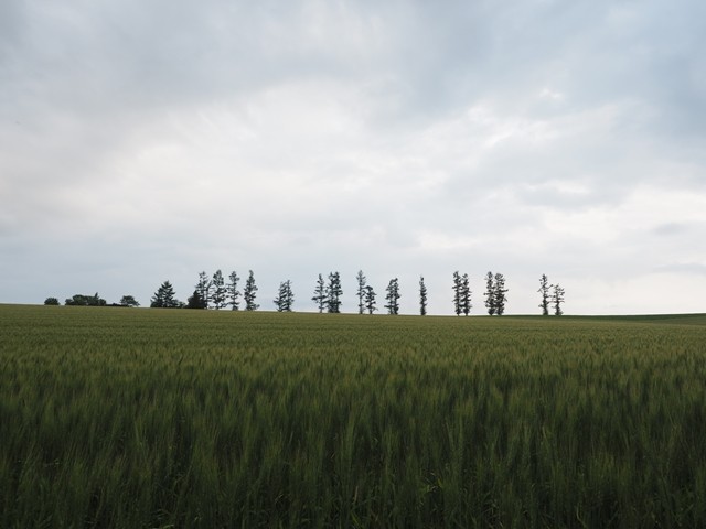 P7140121_R