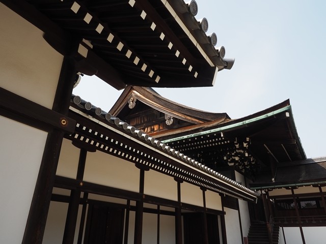 P4010059_R