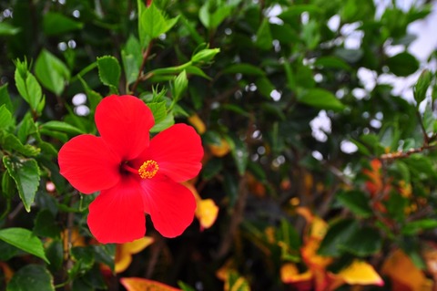 5c222f01.jpg