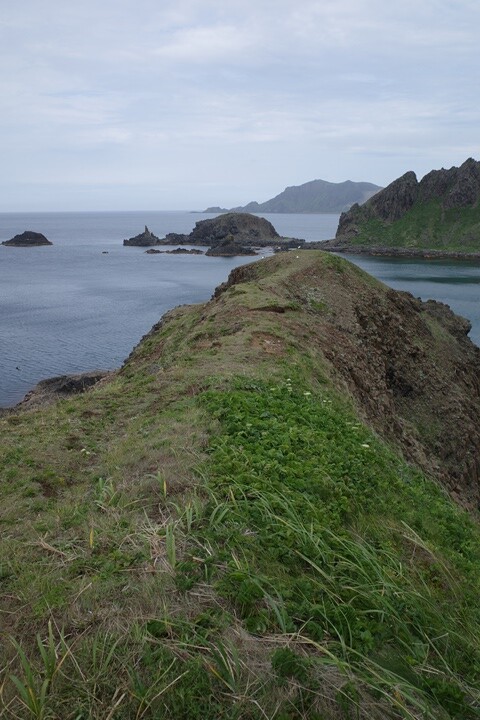 R0002977_R