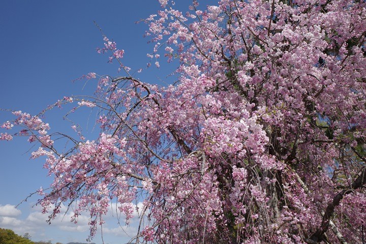 R0000452_R