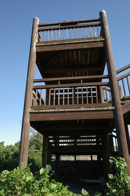 R0003449_R