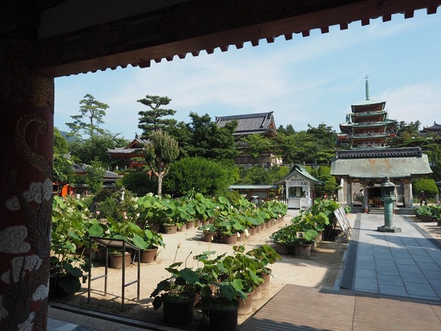 P7150188_R