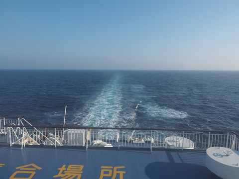 P8050024_R
